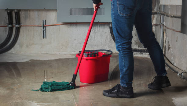 Best Carpet water damage restoration  in New Market, TN