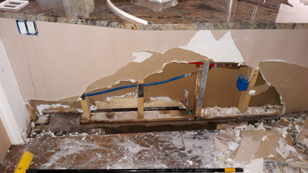 Best Local water damage restoration  in New Market, TN
