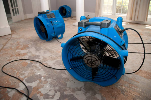 Sewage cleanup and water damage restoration in New Market, TN
