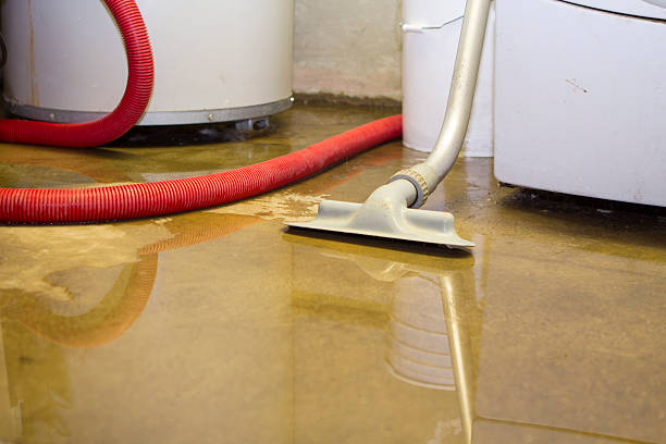 New Market, TN Water damage restoration Company