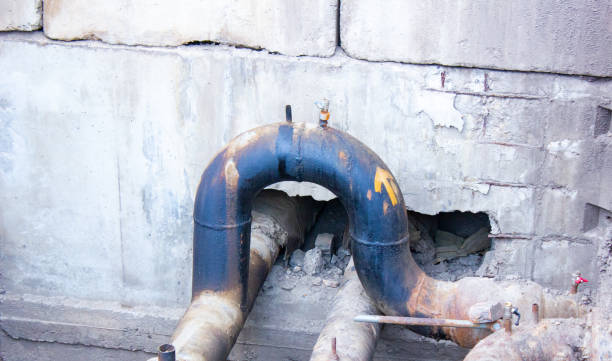 Best Basement water damage restoration  in New Market, TN