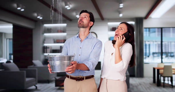 Best Sewage cleanup and water damage restoration  in New Market, TN